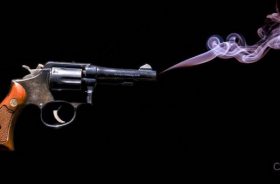 Gun