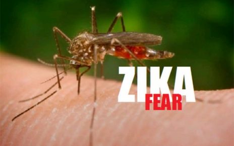 Mosquitoes