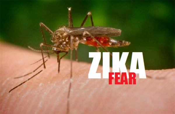 Mosquitoes