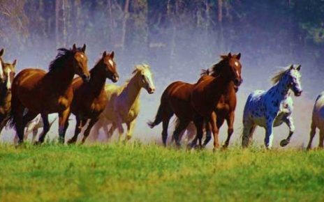 Bureau of Land Management