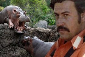 Escobar