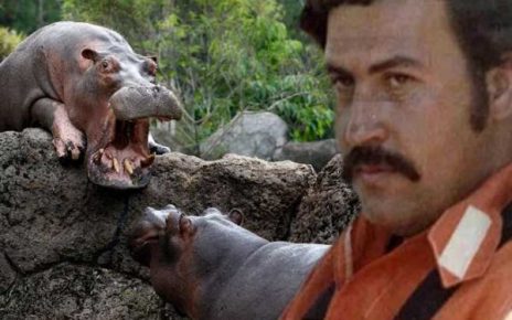 Escobar