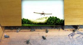 spraying