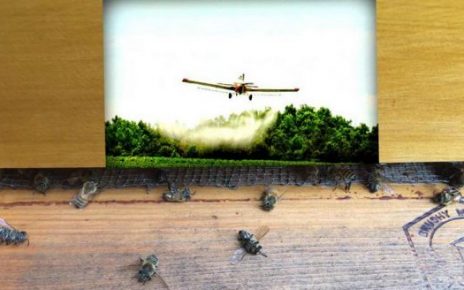 spraying