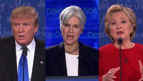 Stein