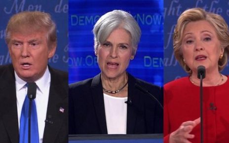 Stein