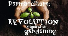 Permaculture