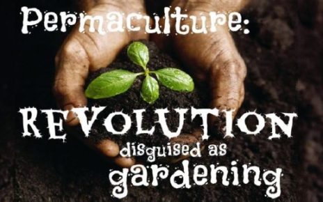 Permaculture
