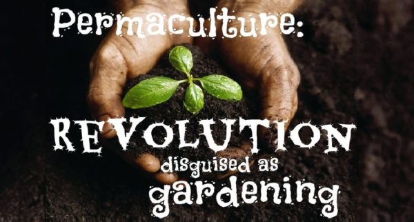 Permaculture