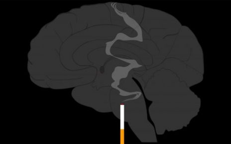 nicotine