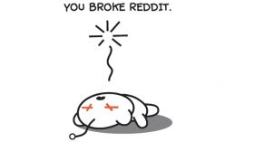 reddit