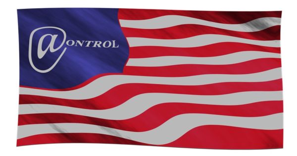 government