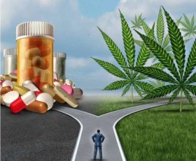 opioid