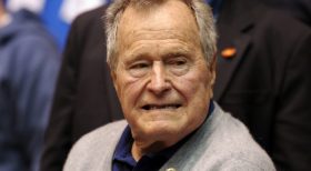 Bush