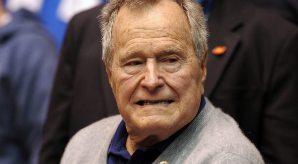 Bush