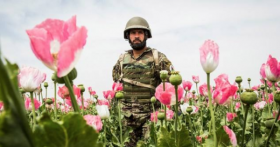 Afghanistan