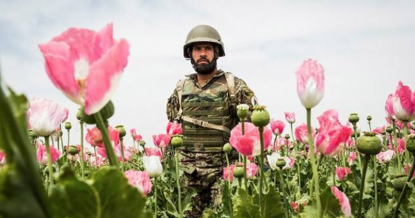 Afghanistan