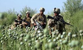 Taliban