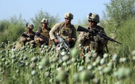 Taliban