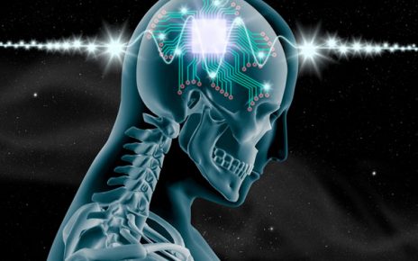 brain
