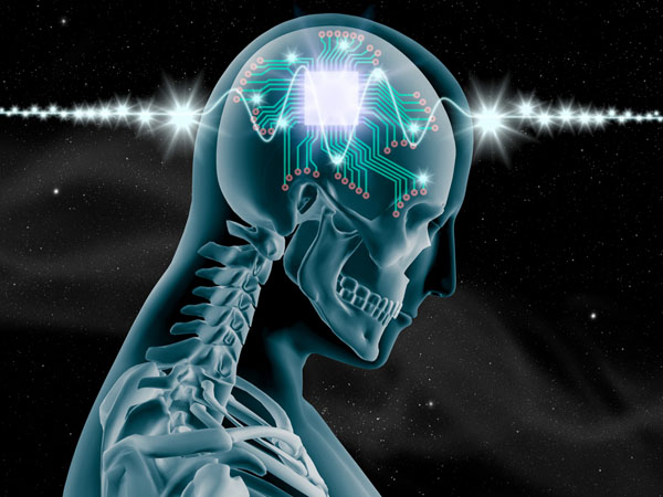brain