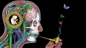 cannabis