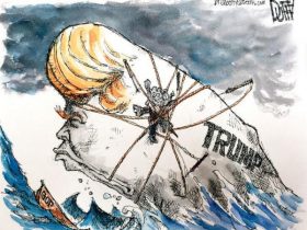 Moby Trump