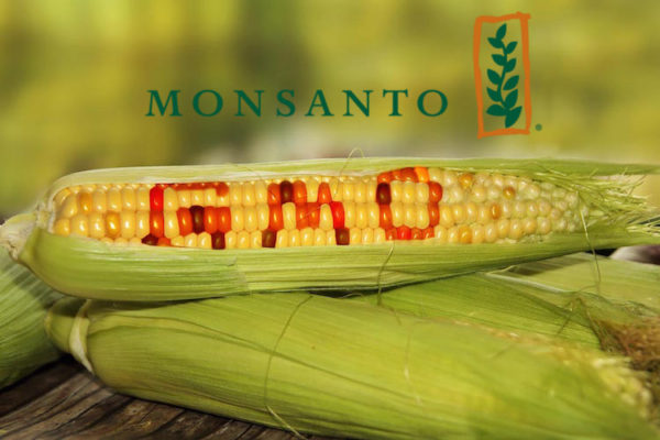 Monsanto