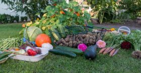 off the grid