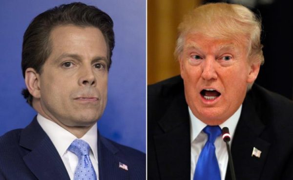 Scaramucci