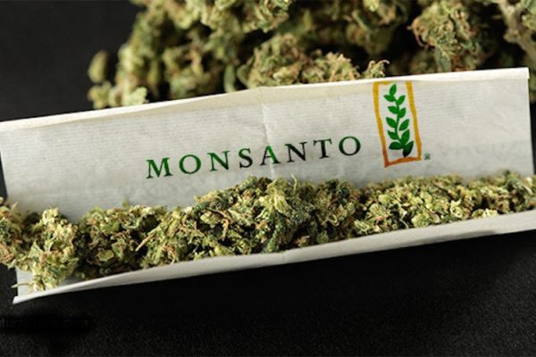 monsanto