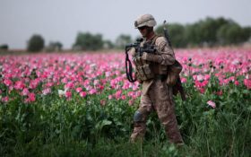Afghan