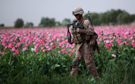 Afghan