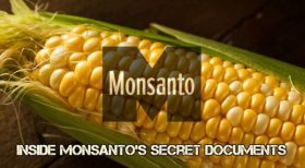 Monsanto
