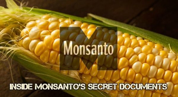 Monsanto