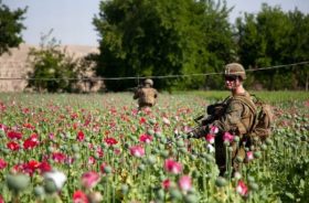 afghan