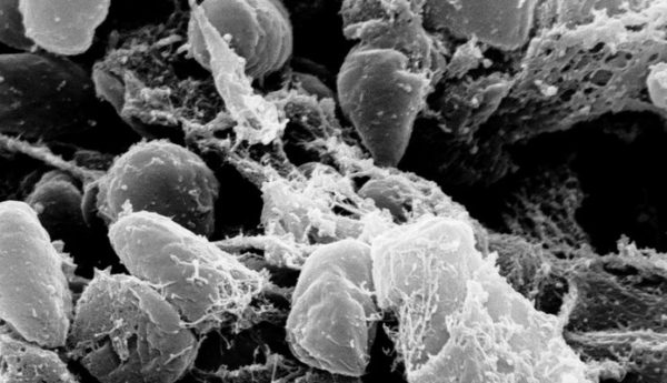 Department of Health and Human Services