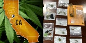 cannabis