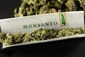 monsanto