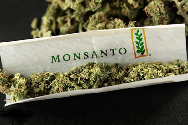 monsanto