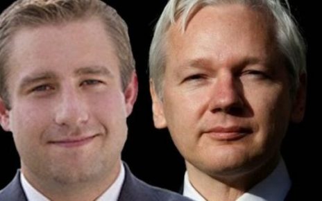 seth rich