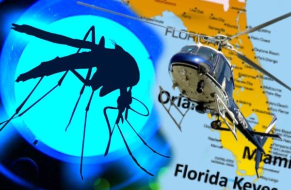 Mosquitoes