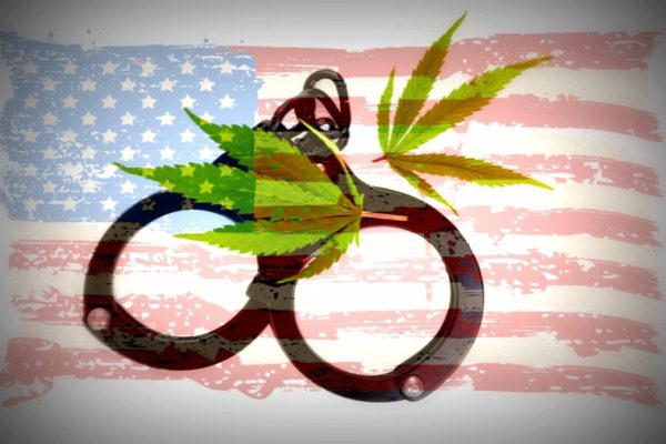Marijuana