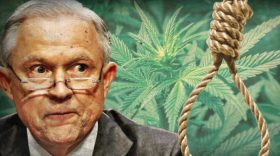 marijuana