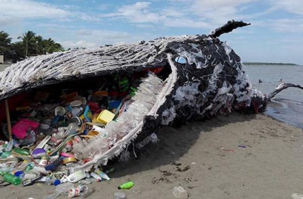 Plastic