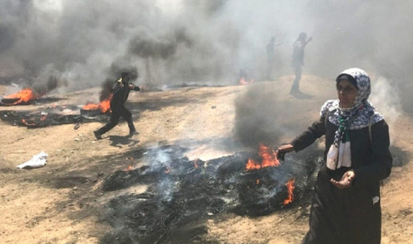 Gaza