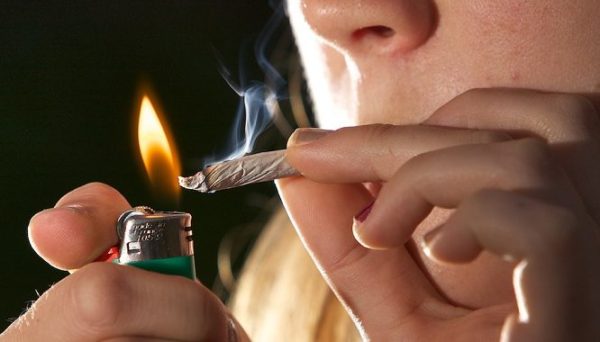 cannabis