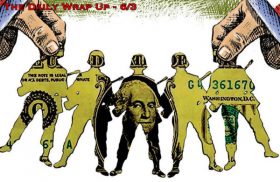 The Daily Wrap Up