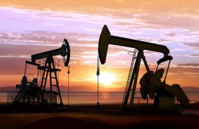 Oil