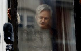 Assange